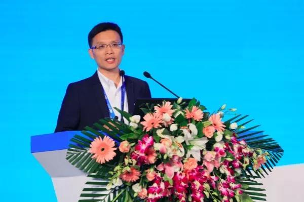 	中国储能网讯：“2018年国内动力电池总规模预计达到230—240GWh，但需求端今年总体规模65GWh。”	这是高工产研(GGII)院长罗焕塔在“中国(青海)锂产业与动力电池国际高峰论坛”上做的预测，这也直接证实了甚嚣尘上的国内动力电池产能过剩言论