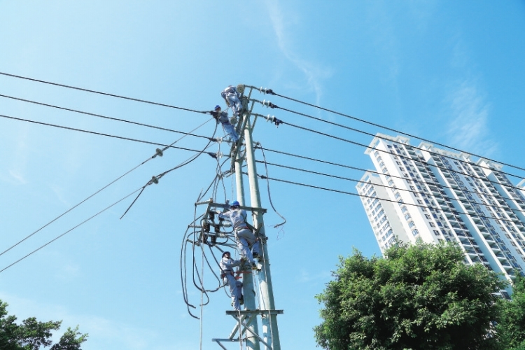 今年5月,海口供电局新建一条10千伏线路,提高府城地区供电可靠性。 杨永光 摄
海口供电局演丰供电所利用无人机巡线等新手段,加强科技创新技术应用水平