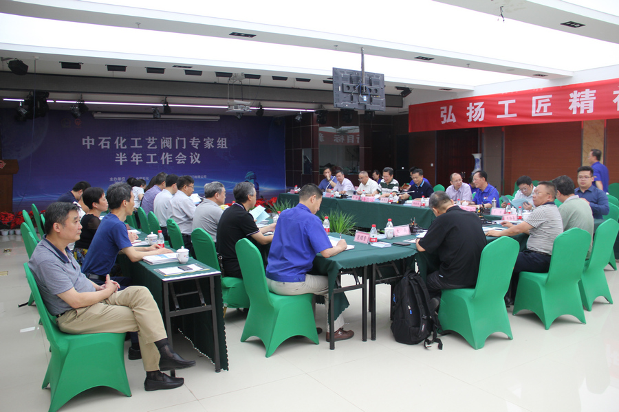 　　【中国仪表网 仪表会议】七月的金城，瓜果飘香，景色怡人。在第二十四届兰洽会胜利召开之际，2018年7月5日，由中石化主办，兰州高压阀门有限公司承办的&ldquo;中石化工艺阀门专家组半年会议&rdquo;在甘肃兰州高压阀门有限公司七楼会议室召开并圆满成功