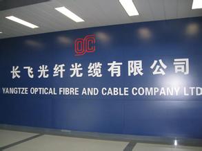 
	
                    
	【電纜網(wǎng)訊】日前，長(zhǎng)飛光纖光纜公布，該公司A股IPO回?fù)軝C(jī)制啟動(dòng)前，網(wǎng)下初始發(fā)行數(shù)量為5305.35萬(wàn)股，占此次發(fā)行總量的70.00%；網(wǎng)上初始發(fā)行數(shù)量為2273.7萬(wàn)股，占此次發(fā)行總量的30.00%；回?fù)軝C(jī)制啟動(dòng)后，網(wǎng)下最終發(fā)行數(shù)量為757.85萬(wàn)股，占此次發(fā)行數(shù)量的10.00%；網(wǎng)上最終發(fā)行數(shù)量為6821.2萬(wàn)股，占此次發(fā)行數(shù)量的90.00%。

	

	此次發(fā)行的網(wǎng)上網(wǎng)下認(rèn)購(gòu)繳款工作已于2018年7月12日(T+2日)結(jié)束