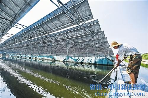 近年来,浙江省湖州市大力实施能源项目,以太阳能、水能、风能等清洁能源替代化石能源,因地制宜实施农光互补、渔光互补、林光互补,不仅形成了一条集光伏发电、农业种植、渔业养殖、林业