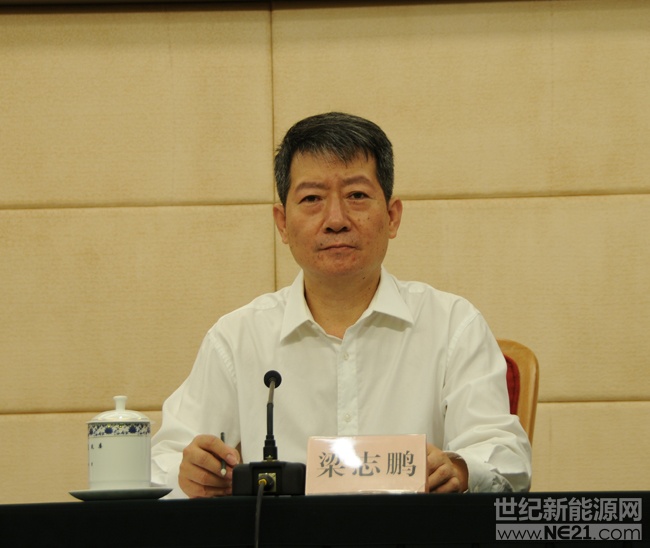国家能源局7月30日在京举行新闻发布会，发布今年上半年能源形势、可再生能源并网运行情况、第二季度12398能源监管热线投诉举报受理情况，还将解读《电力安全生产行动计划（2018-2020）》，并回答记者提问。[新能源和可再生能源司副司长 梁志鹏]各位新闻界的朋友，大家好！首先感谢大家一直以来对国家能源局新能源司工作的大力支持和对可再生能源产业的关注