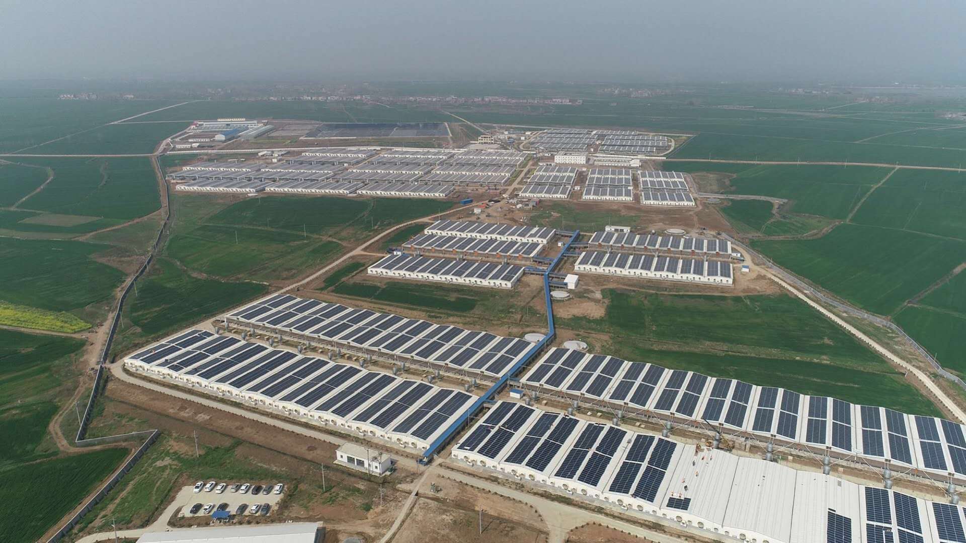 　　近日，中天科技在湖北老河口市投资兴建的首期28兆瓦分布式光伏电站正式并网发电。这是中天科技继援建湖南湘西野竹坪希望小学之后又一个重大扶贫项目，也是以实际行动响应党的十九大“深入实施东西部扶贫协作”，全面落实习近平“改进脱贫攻坚动员和帮扶方式，扶持谁、谁来扶、怎么扶，全过程都要精准”指示精神的一大创举，受到当地政府和广大农民的普遍欢迎