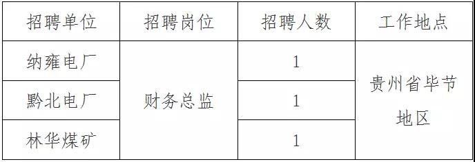 　　国家电投集团贵州金元股份有限公司(简称：贵州金元)是贵州省大型综合性能源企业，主要有火电、水电、光伏发电、瓦斯发电、酒店经营及物业管理等产业。根据公司发展需要，现面向社会公开招聘公司所属三级单位财务管理领导人员，具体事项公告如下：　　一、招聘原则　　公平、公正、公开、择优