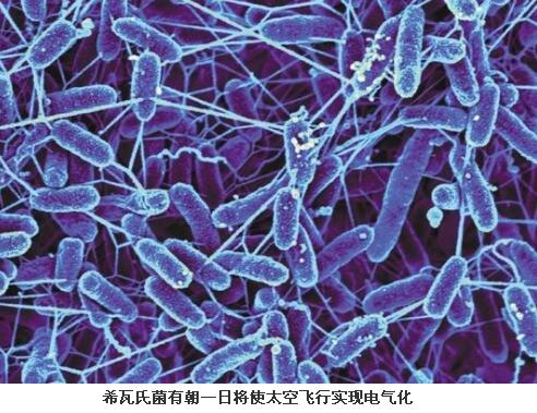 　　据报道，航天员正在国际空间站上进行的一项实验，可能使未来的太空探索任务实现电气化。这项实验的主角是一批希瓦氏菌——7月初被送上国际空间站