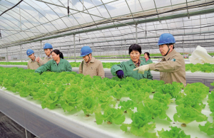 　　江苏东台市供电公司三仓供电所员工向大棚种植基地管理人员了解用电需求，保证生态大棚用电安全。 孙永兴 摄　　8月8日，国家电网公司2018年营销（农电）工作座谈会在江苏南京召开