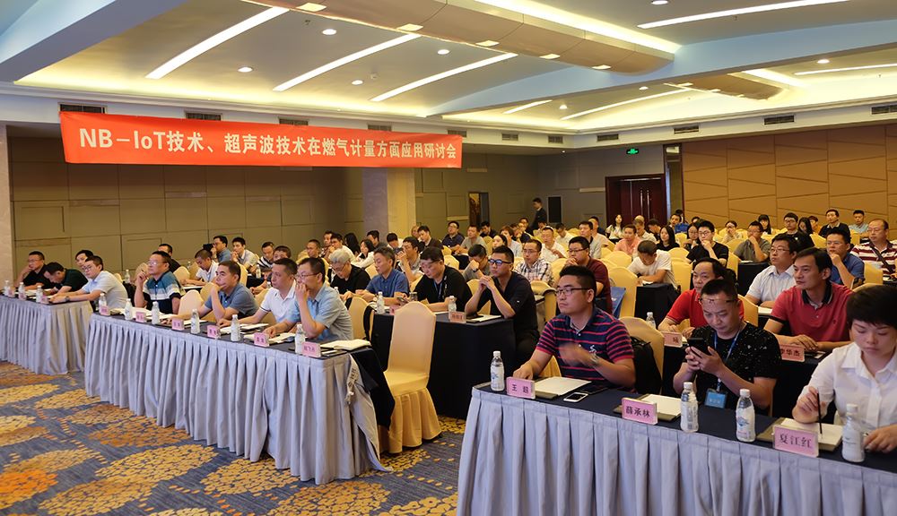 　　【中国仪表网 仪表新品】2018年8月11日，青岛积成电子股份有限公司与中国移动通信集团四川有限公司在四川成都联合举办了&ldquo;NB-IoT技术、超声波技术在燃气计量方面应用主题研讨会暨NB-IoT物联网燃气表商用发布会&rdquo;。来自全国41家燃气企业130余人齐聚天府之国，共同见证青岛积成的物联网燃气表产品由2G时代跨入NB-IoT时代