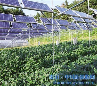                                                                                                                                                                     	　　通过&ldquo;一地多用、农光互补&rdquo;的新型产业发展模式，我国生态光伏发电项目为贫困地区提供了可持续发展的新方案。	　　由国际公益学院、燕宝慈善基金会联合主办
