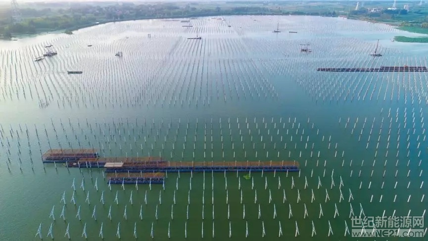 中国广核新能源控股有限公司泗洪光伏发电应用领跑基地，地处江苏省泗洪县天岗湖乡，属于江苏省经济欠发达乡镇。近年来，天岗湖乡紧紧抓住省委扶贫这一重大政策，牢固树立&ldquo;绿水青山就是金山银山&rdquo;的理念，充分利用天岗湖乡滩涂湿地和湖水优势，积极引进光伏发电项目，致力于建设能源之乡