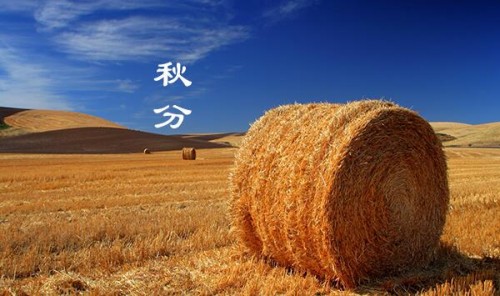 　　曾经，秸秆是农村的宝。如今，却成了丰收后的烦恼