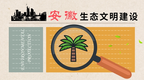 原标题：安徽：抛出一揽子生态方案多角度实施污染治理            安徽省不仅有“黄山归来不看岳”的奇景，不仅有丛林叠翠的徽杭古道，不仅有被列为国家非物质文化遗产的黄梅戏，还有新时代生态文明建设不一样的故事。 2018年9月5日，安徽省在2017年度最严水资源管理制度考核结果中获得“优秀”等级