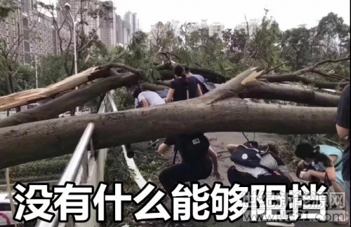 &nbsp;&nbsp; 2018年9月16号，广东20年以来最强台风&ldquo;山竹&rdquo;，席卷了香港、澳门、广东深圳、汕尾等城市，狂风过后被拦腰折断或者连根拔起的树木和吹翻的广告牌到处都是。用一句话来形容那就是&ldquo;风声雨声破裂声声声入耳，楼抖窗抖大树抖处处在抖&rdquo;&nbsp;&nbsp;&nbsp;&nbsp; 台风过后，到处一片狼藉，然而没有什么能阻挡深圳人上班，17日一早，爱好工作的深圳人早已迫不及待赶赴公司