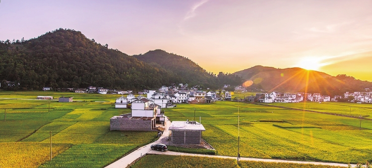 　　兴仁县新农村面貌　　兴仁供电局员工到猕猴桃基地了解客户用电情况　　兴仁供电局在贫困山区为移民搬迁户架设线路　　9月18日，国务院扶贫办发文，贵州省兴仁县符合贫困县退出条件，标志着兴仁县成为黔西南布依族苗族自治州2017年唯一一个&ldquo;减贫摘帽&rdquo;县。52万兴仁各族群众圆了祖祖辈辈多年的梦想