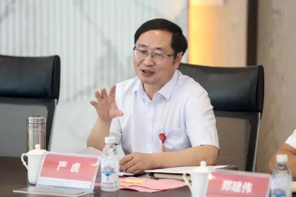 原标题：专访通威股份严虎副董事长：做伟大时代的创变者            大浪淘沙，沉者为金；风卷残云，“剩”者为王。 三个月前，“531 新政”从天而降，给正在高速发展的中国光伏产业踩下急刹车，整个行业骤然变冷