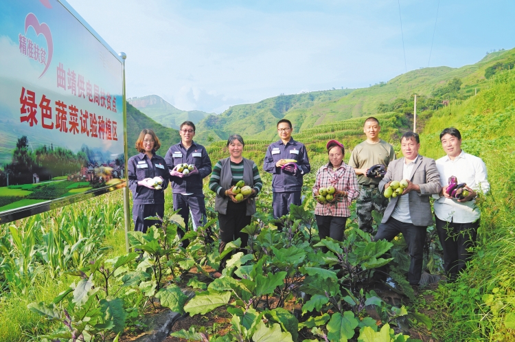 留田村隶属于云南省曲靖宣威市杨柳镇,地处高山崇岭中,村民赖以生存的耕地都在陡峭的山坡上,脱贫致富的梦想更寄托在那里。自从今年3月份来到这里驻村扶贫后,云南电网曲靖供电局留田村第一书记李修权带着蔡俊强和陈海云两名扶贫工作队员,和贫困户们一起弄起了58亩的露天蔬菜基地,因地制宜开展当地脱贫致富产业