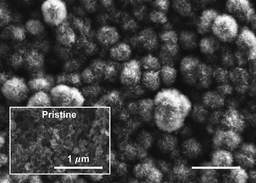 锂—二氧化碳电池还处于概念验证状态,实现商用还需要几年时间。
世界正在越来越明显地变暖,二氧化碳正成为罪魁祸首,我们不能只将所有二氧化碳释放到大气中,而要更多地将其利用起来