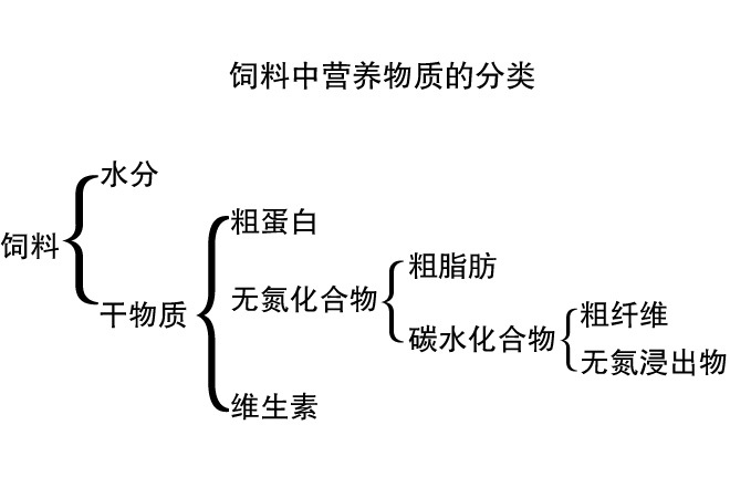 原标题:蝎子所需的营养物质有哪些? 蝎子维持生命活动,进行新陈代谢,必须通过采食饲料从外界摄食多种营养物质。饲料中营养物质的分类如下: 蝎子所需的营养物质有哪些? 由此可见,蝎子从饲料中摄入的主要营养物质为:水、蛋白质、脂肪、碳水化合物、矿物质和维生素