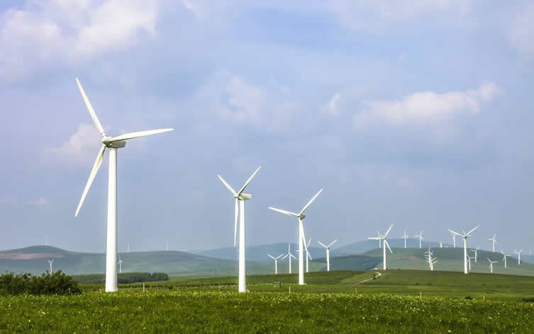 山东：不再组织需国家补贴的陆上集中式风电竞价