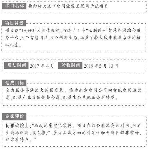 “面向特大城市电网能源互联网示范项目”是国家能源局公布的首批“互联网+”智慧能源（能源互联网）55个示范项目之一，是示范项目中“城市能源互联网综合示范12个项目之一。项目由南方电网广州供电局有限公司申报，2017年6月正式入选示范项目，旨在全力服务粤港澳大湾区发展，推动南方电网公司向智能电网运营商、能源产业价值链整合商、能源生态系统服务商转型。项目于2019年5月13日通过国家能源局验收。