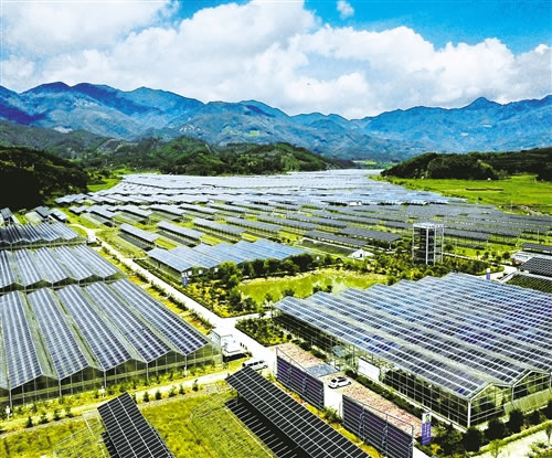 近年来，福建省政和县因地制宜发展光伏农业，一个“棚上发电，棚下种植”的现代光伏农业园已在政和县东平镇初步建成。该项目占地约2000亩，集光伏发电、农业生产、农业观光于一体，年发电量约9000万千瓦时，所发电量并入国家电网，为山区农民脱贫致富开辟了新途径。