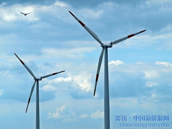 风能被视为化石燃料的可持续替代品，因为它有助于减少温室气体的排放。据估计，到2050年，风力发电将占全球电力供应的20％以上。然而，风电场的迅速发展让人们不得不担忧风力涡轮机对野生动物造成的影响。