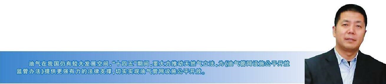 国家能源局党组书记、局长章建华8月13日在《人民日报》撰文谈到制定能源发展重大战略规划时提出，尽快确立“十四五”及更长一个时期的能源发展规划。在油气领域，要以放宽油气勘探开发市场准入、油气管道运营机制改革为重点，加快推动配套措施出台实施。日前，记者就此话题采访了中国石油大学(北京)油气政策与法律研究中心主任陈守海。陈守海表示，油气在我国仍有较大发展空间，“十四五”期间，要大力推动天然气立法，为《油气管网设施公平开放监管办法》提供更强有力的法律支撑，切实实现油气管网设施公平开放。