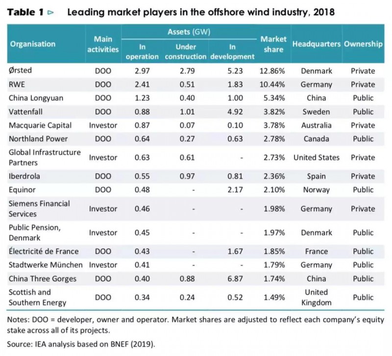 根據(jù)國(guó)際能源署（IEA）發(fā)布2019年海上風(fēng)電展望報(bào)告，2018年在海上風(fēng)電裝機(jī)排名前十的開發(fā)商中，中國(guó)龍?jiān)?、中?guó)三峽公司雙雙上榜，其中龍?jiān)磁琶谌Ｒ韵聻槭蠛Ｉ巷L(fēng)電開發(fā)商名單：