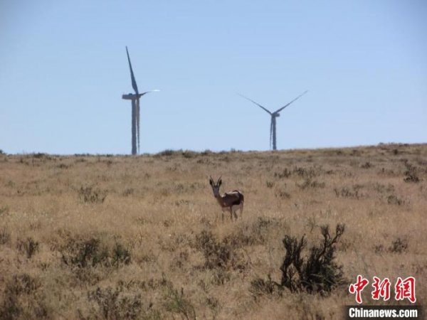 作为中国国有发电企业在非洲集投资、建设、运营为一体的第一个风电项目，国家能源集团龙源电力南非德阿风电项目10举行“云开放日”活动，展现疫情期间风电场对当地稳定的电力供应。